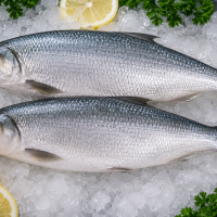 Ikan Bandeng