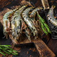 Udang Windu/ Tiger